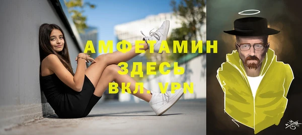 гашик Мегион