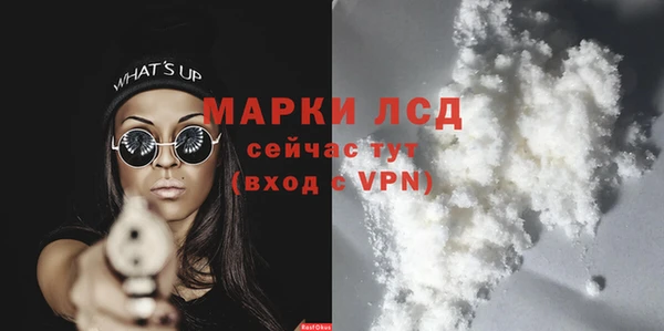 индика Медвежьегорск