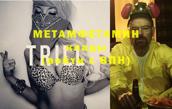 индика Медвежьегорск