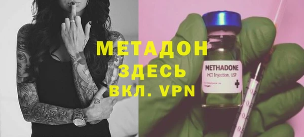 индика Медвежьегорск