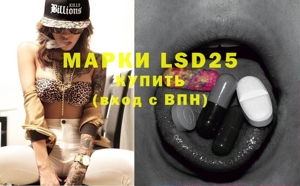 индика Медвежьегорск