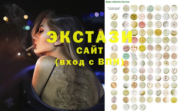 индика Медвежьегорск