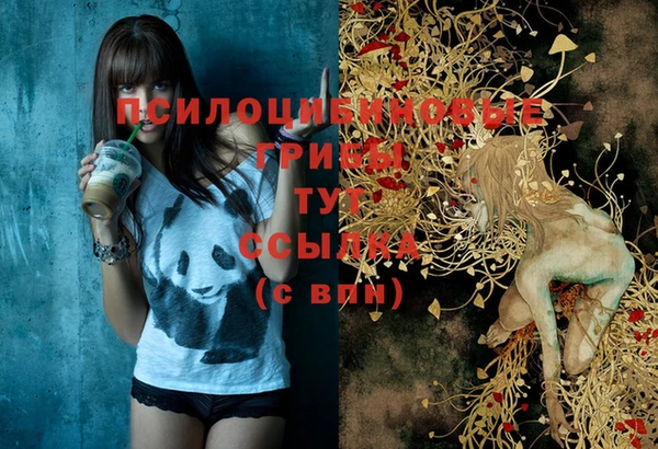 индика Медвежьегорск