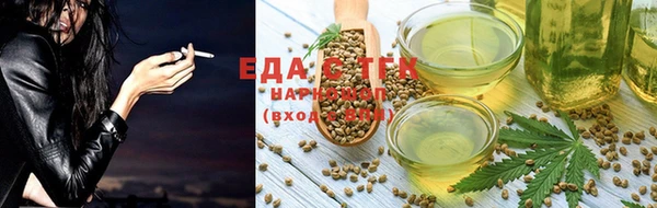 гашик Мегион