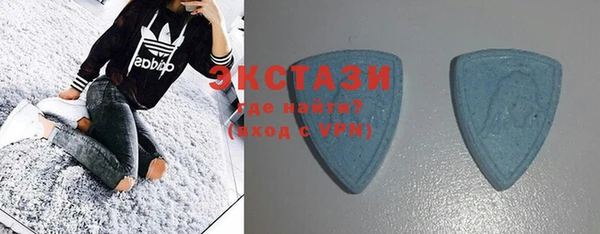 гашик Мегион